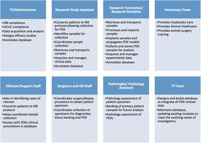 Establishing and Maintaining an Extensive Library of Patient-Derived Xenograft Models